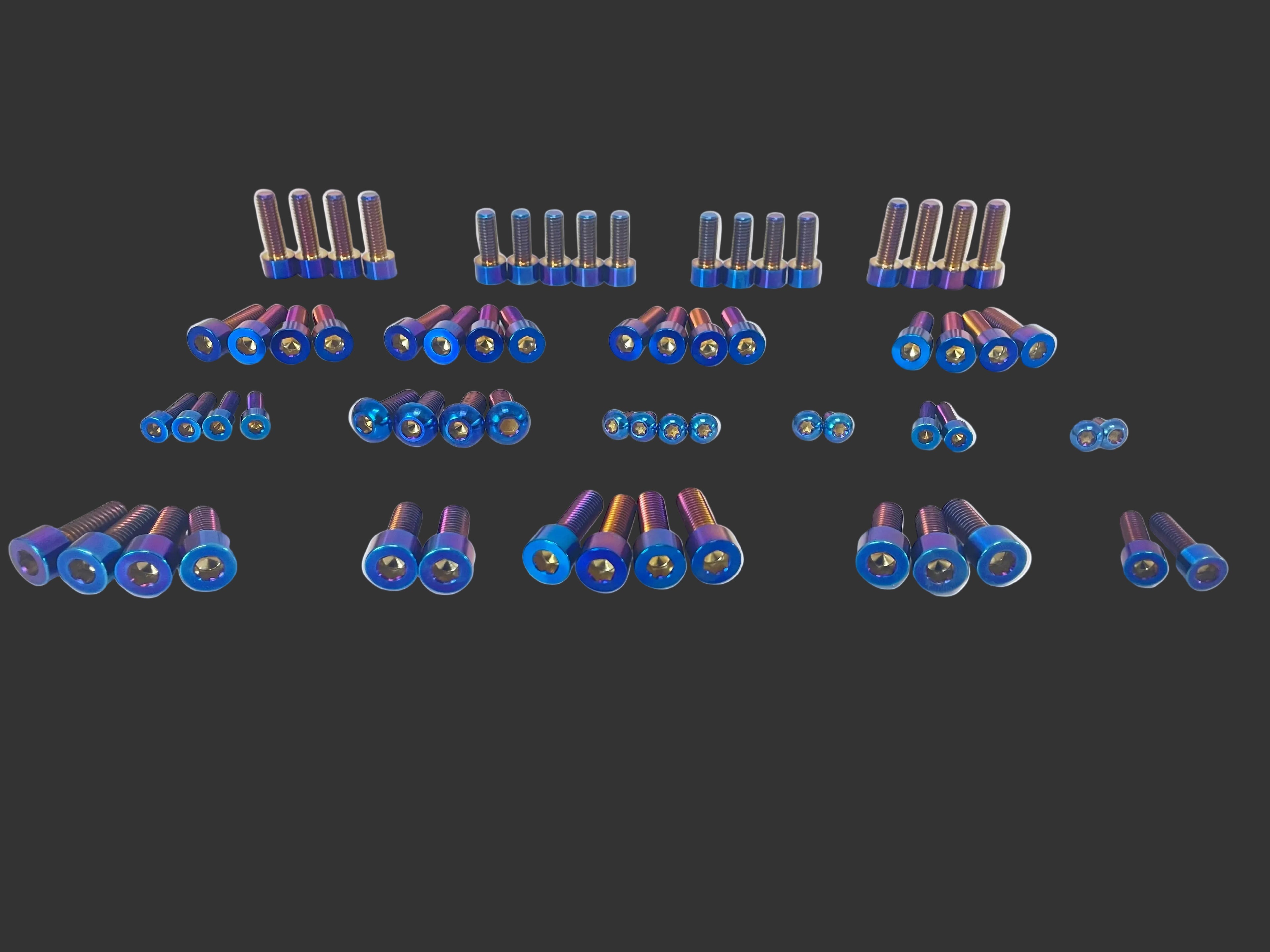 E-ride pro 2.0/3.0 titanium bolt kit