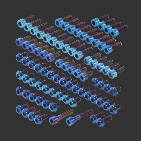 E-ride pro 2.0/3.0 titanium bolt kit